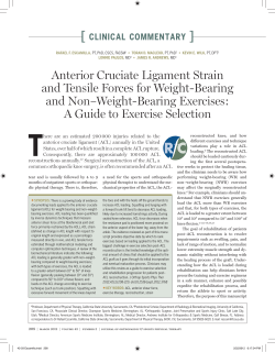 Anterior Cruciate Ligament Strain and Tensile Forces for Weight