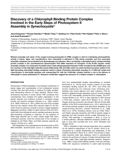 Discovery of a Chlorophyll Binding Protein Complex