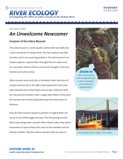 An Unwelcome Newcomer - American Museum of Natural History