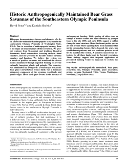 Historic Anthropogenically Maintained Bear Grass Savannas of the