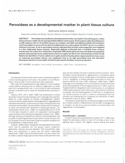 Peroxidase as a developmental marker in plant tissue culture