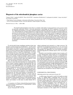 Biogenesis of the mitochondrial phosphate carrier