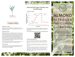 Almond Nitrogen Fertilization Guidelines