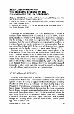 Brief Observations on the Breeding Biology of the Flammulated Owl