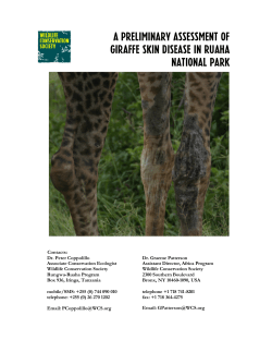 A preliminary assessment of Giraffe skin Disease in Ruaha national