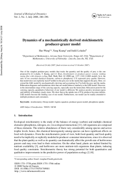 Dynamics of a mechanistically derived stoichiometric