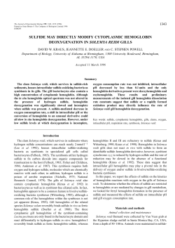 sulfide may directly modify cytoplasmic hemoglobin deoxygenation