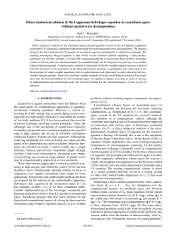 Direct numerical solution of the Lippmann