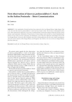 First observation of Quercus pedunculiflora C. Koch in the Italian