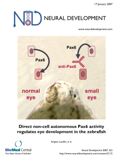 Direct non-cell autonomous Pax6 activity regulates eye