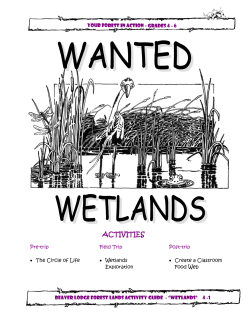 4 Wetlands - Greenways Land Trust