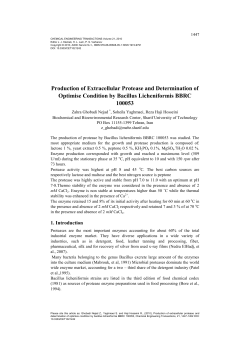 Format And Type Fonts