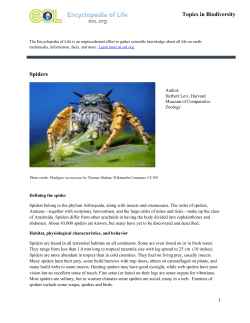 Spiders Topics in Biodiversity