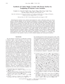 Synthesis of Calcite Single Crystals with Porous Surface by