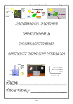 Photosynthesis (Student Support)