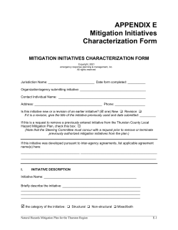 Mitigation Initiatives Characterization Form