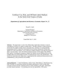 Fertilizer Use, Risk, and Off-farm Labor Markets In