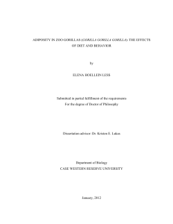 ADIPOSITY IN ZOO GORILLAS - OhioLINK Electronic Theses and