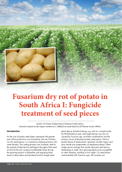 Fusarium dry rot of potato in South Africa I