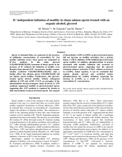K+-independent initiation of motility in chum salmon sperm treated