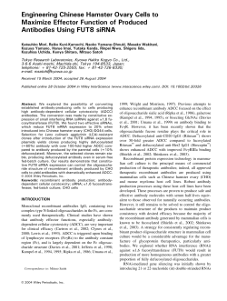 Engineering Chinese hamster ovary cells to maximize