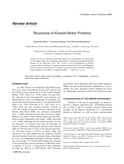 Structures of kinesin motor proteins