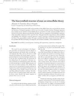 The biocrystalloid structure of man: an extracellular
