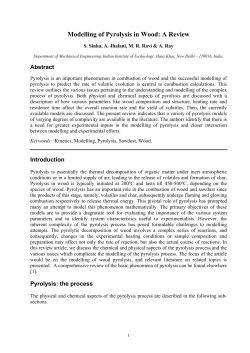 Modelling of Pyrolysis in Wood