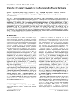 Cholesterol Depletion Induces Solid