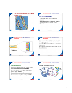 12–2 Chromosomes and DNA Replication
