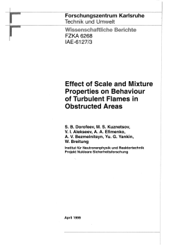 Effect of Scale and Mixture Properties on Behaviour of Turbulent