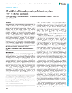 ARMS/Kidins220 and synembryn-B levels regulate NGF
