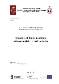 Dynamics of double pendulum with parametric vertical excitation