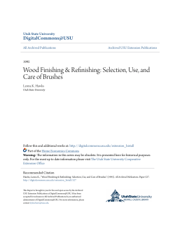 Selection, Use, and Care of Brushes