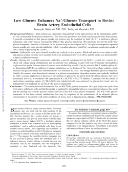 Glucose Transport in Bovine Brain Artery Endothelial Cells