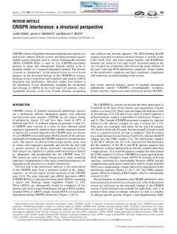 CRISPR interference: a structural perspective