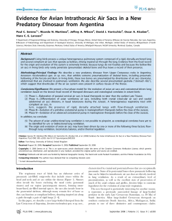 Evidence for Avian Intrathoracic Air Sacs in a New Predatory