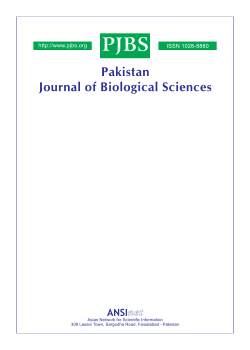 Chromosomal Aberrations Induced by Chemical Mutagens in Allium