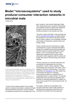 "microecosystems" used to study producer-consumer