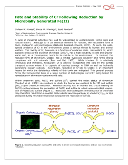 Fate and Stability of Cr Following Reduction by Microbially
