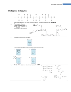 1 Biological Molecules Provincial KEY