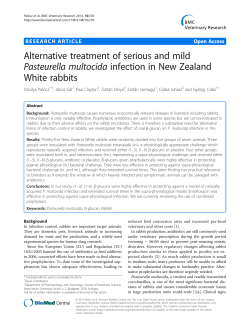 Alternative treatment of serious and mildPasteurella
