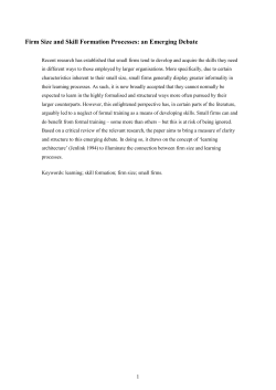 Firm Size and Skill Formation Processes: an Emerging Debate