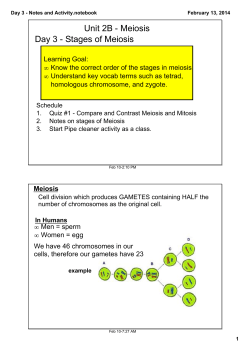 Day 3 - Notes and Activity.notebook