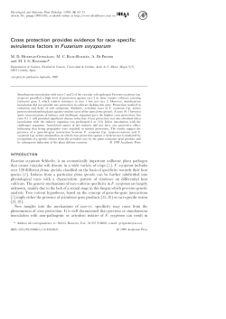 Cross protection provides evidence for race