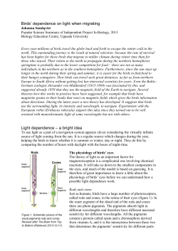Birds` dependence on light when migrating Light dependence &ndash; a