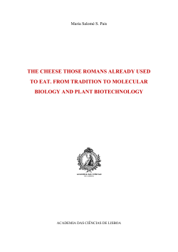 the cheese those romans already used to eat. from tradition to
