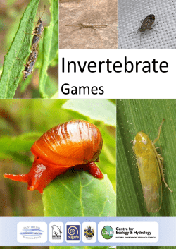 SHNT - Loan Box - Games Instructions