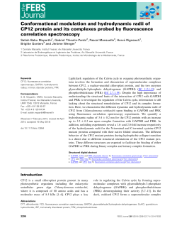 Conformational modulation and hydrodynamic radii of CP12 protein
