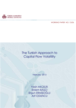 The Turkish Approach to Capital Flow Volatility